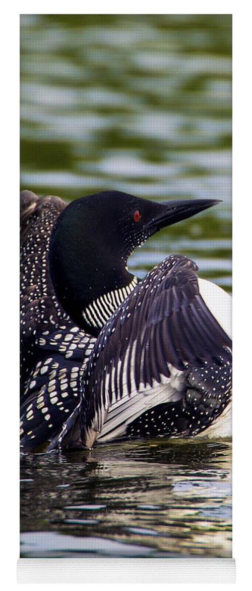 Bird Yoga Mat featuring the photograph The Common Loon by Bill and Linda Tiepelman