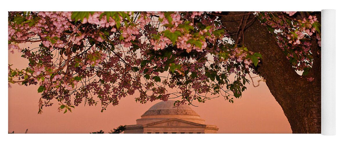 America Yoga Mat featuring the photograph The Jefferson Memorial Framed by a Cherry Tree by Mitchell R Grosky