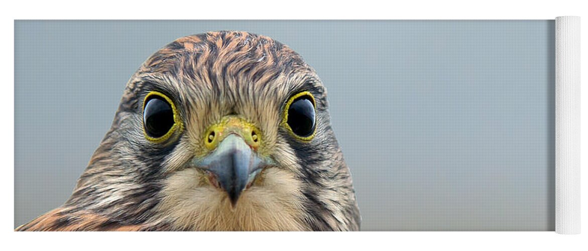 Kestrel Yoga Mat featuring the photograph The Kestrel face to face by Torbjorn Swenelius