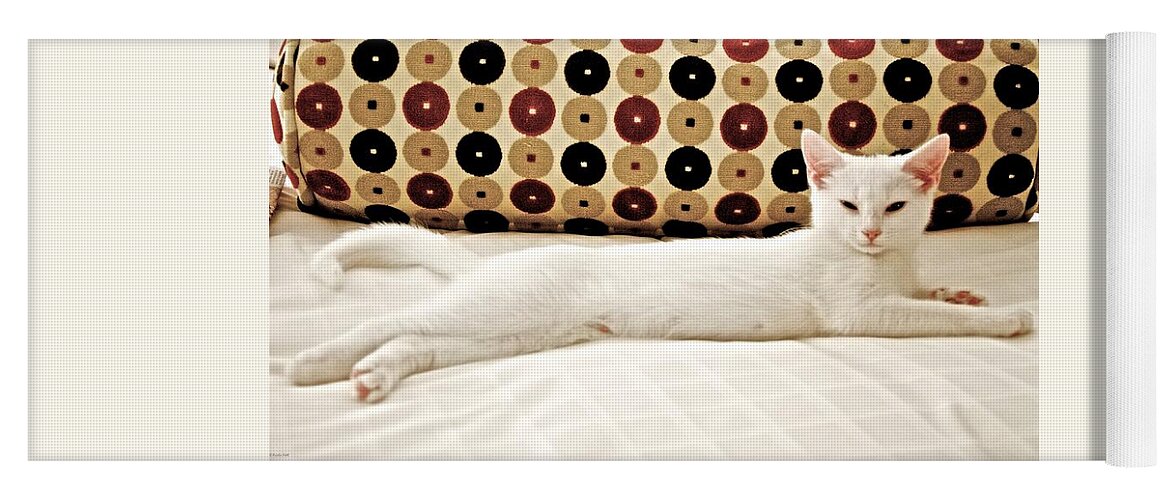 Cat Yoga Mat featuring the photograph The Lap of Luxury by Kristin Hatt
