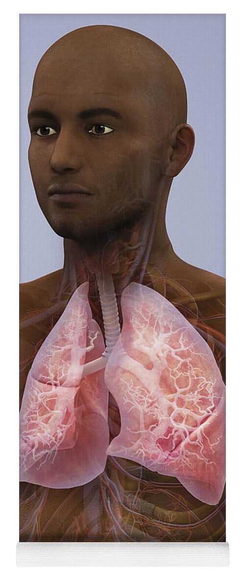 Cardiovascular System Yoga Mat featuring the photograph The Lungs And Cardiovascular System by Science Picture Co