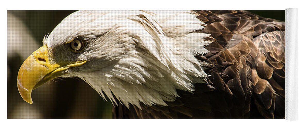 Bald Eagle Yoga Mat featuring the photograph The Majestic American Bald Eagle by Yeates Photography