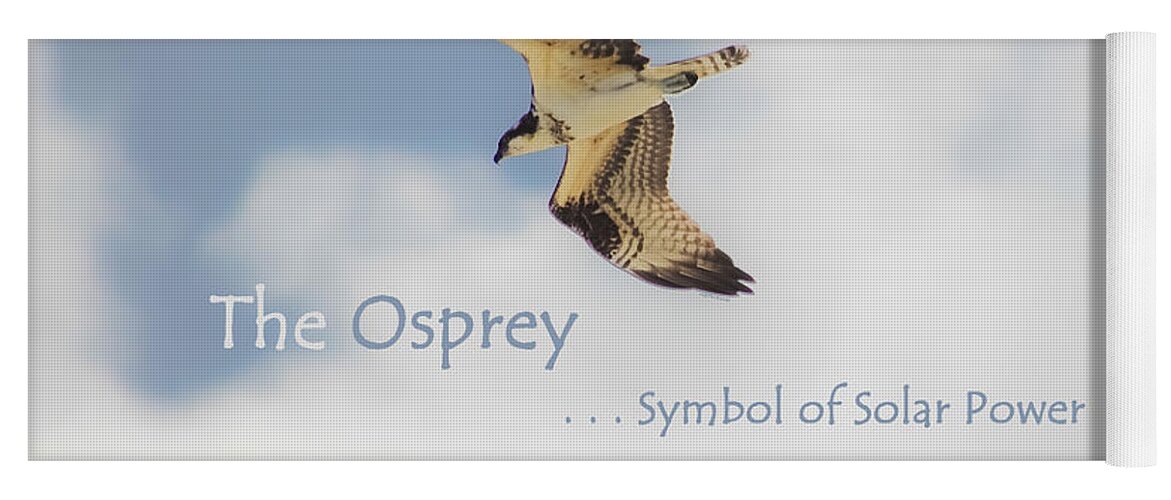 Osprey Yoga Mat featuring the photograph The Osprey by DigiArt Diaries by Vicky B Fuller
