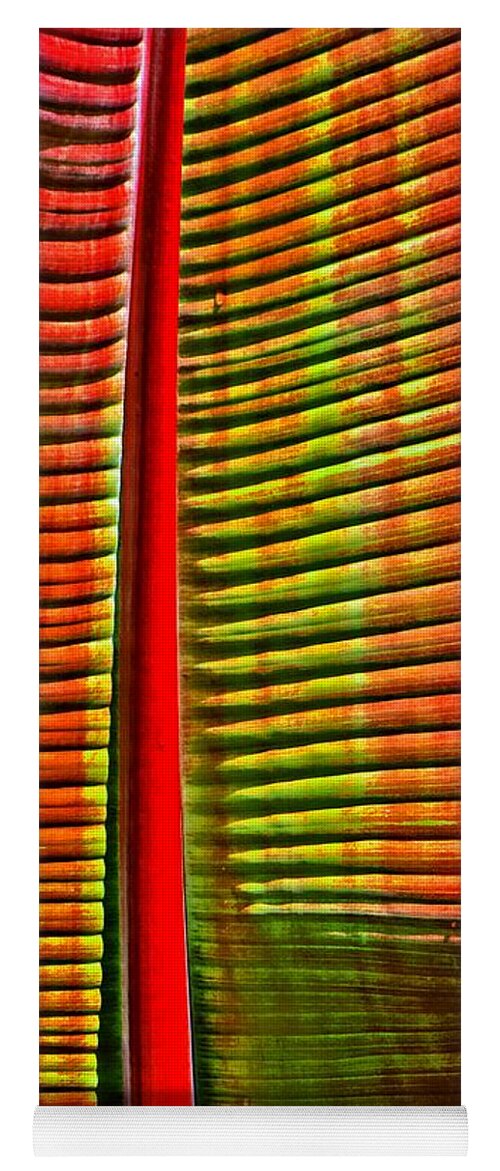 Abstract Art Yoga Mat featuring the photograph The Red PALM by Joseph J Stevens