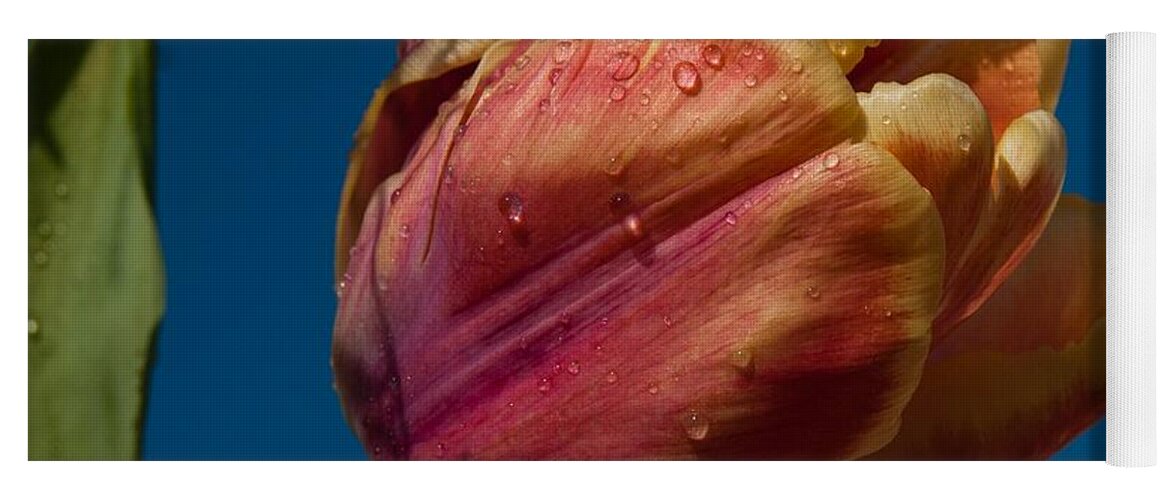 Tulip Yoga Mat featuring the photograph The storm is over by Robert L Jackson