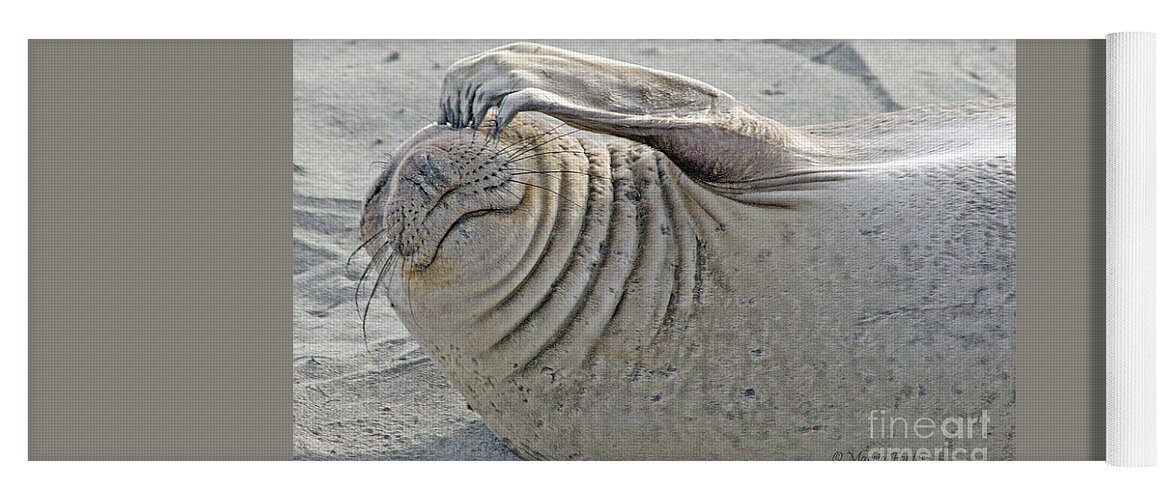 Elephant Seal Yoga Mat featuring the photograph The Thinker - Elephant Seal on the Beach by Tap On Photo