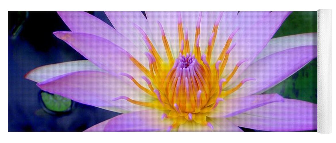 Water Lily Yoga Mat featuring the photograph The Thousand Petaled Lily by Mary Deal