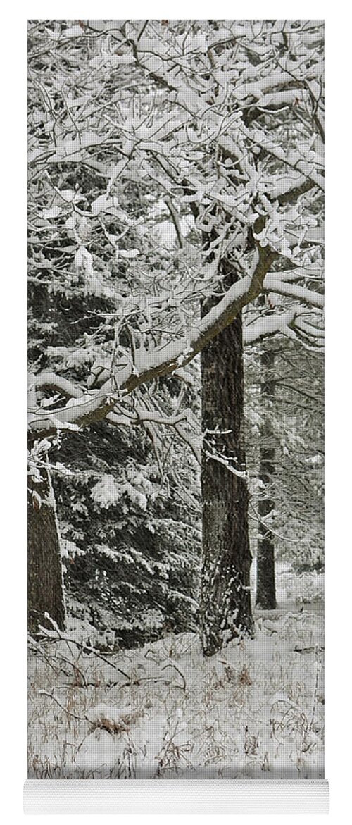 Snow Yoga Mat featuring the photograph The Weight of Winter by Gwen Gibson