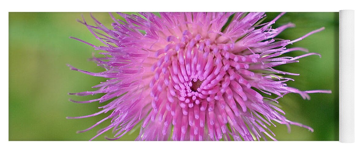 Thistle Yoga Mat featuring the photograph Thistle by David Porteus