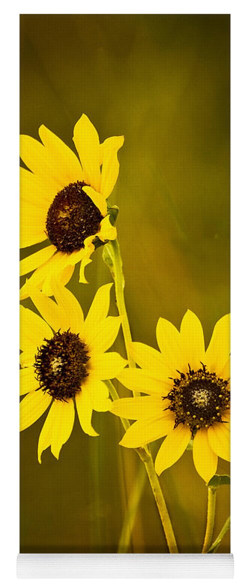 Black Eyed Susan Yoga Mat featuring the photograph A Trio Of Black Eyed Susans by Gary Slawsky