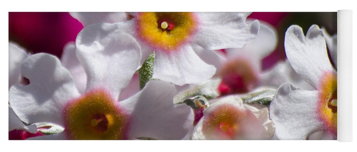 Flowers Yoga Mat featuring the photograph Three Yellow Faces by Spikey Mouse Photography