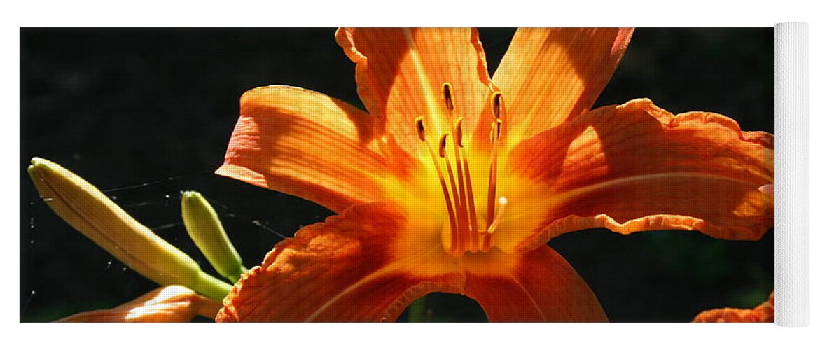 Lily Yoga Mat featuring the photograph Tiger lily 1 by Jim Gillen
