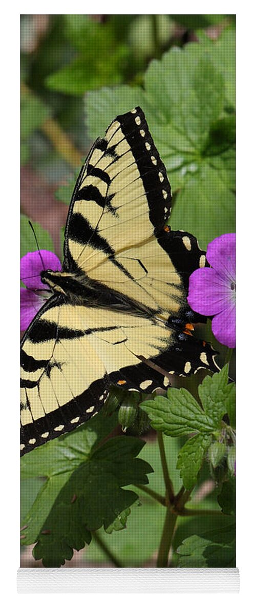 Tiger Swallowtail Butterfly On Geranium Yoga Mat featuring the photograph Tiger Swallowtail Butterfly On Geranium by Daniel Reed