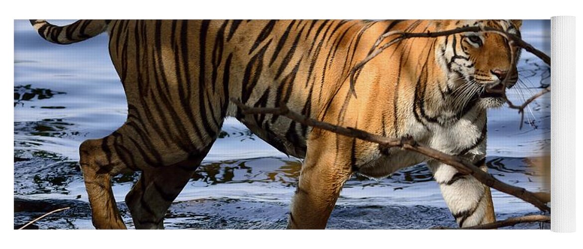 Tiger Yoga Mat featuring the photograph Tigress along the banks by Fotosas Photography