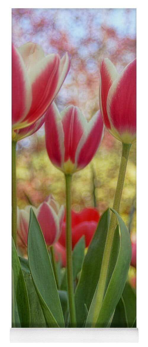 Tulips Yoga Mat featuring the photograph Tiptoe Through The Tulips... by Peggy Hughes