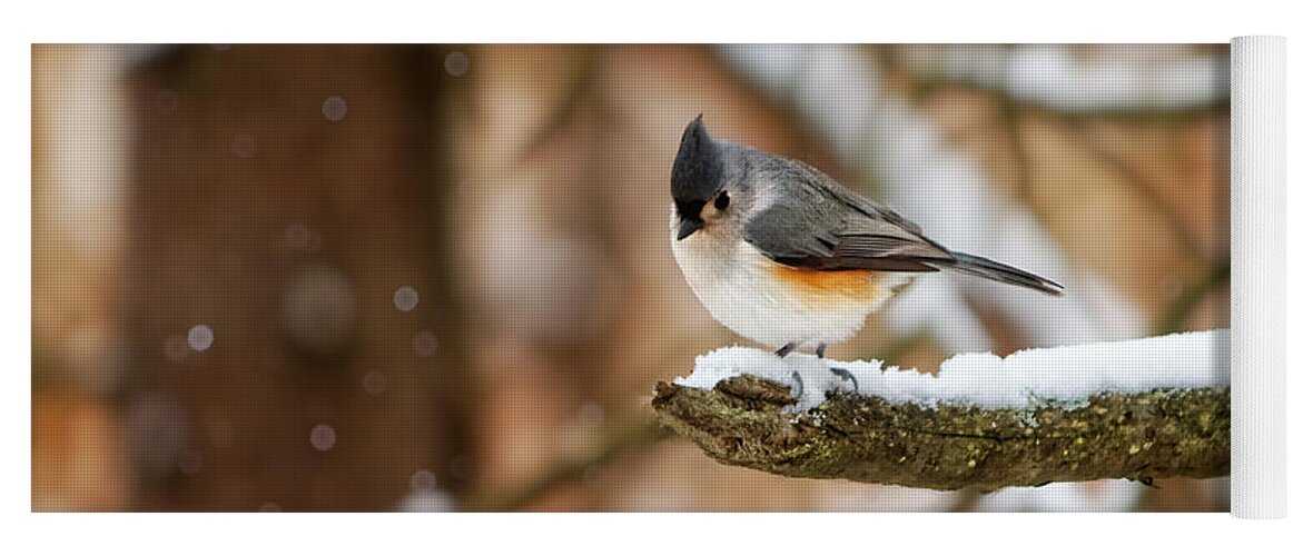Michigan Yoga Mat featuring the photograph Titmouse in Winter by Lars Lentz