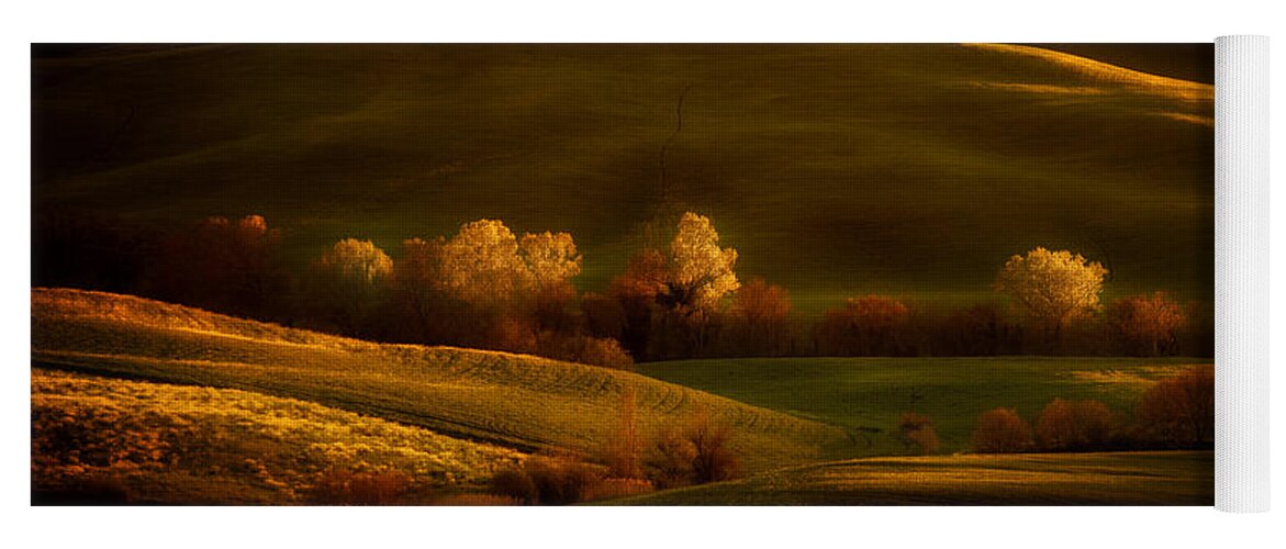 Toskany Yoga Mat featuring the photograph Golden fields of val d'Orcia by Jaroslaw Blaminsky