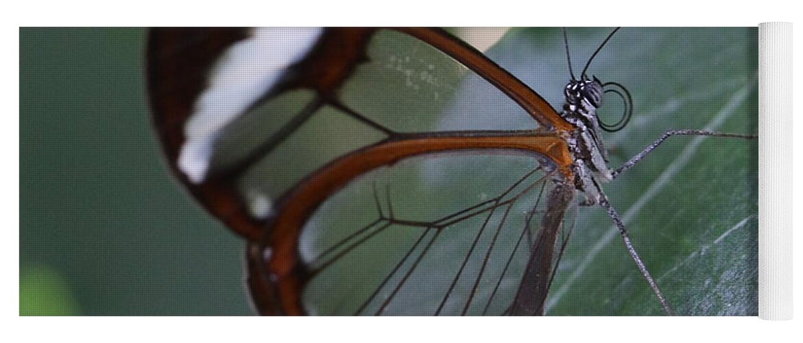 Butterfly Yoga Mat featuring the photograph Transparent Butterfly by Amanda Mohler