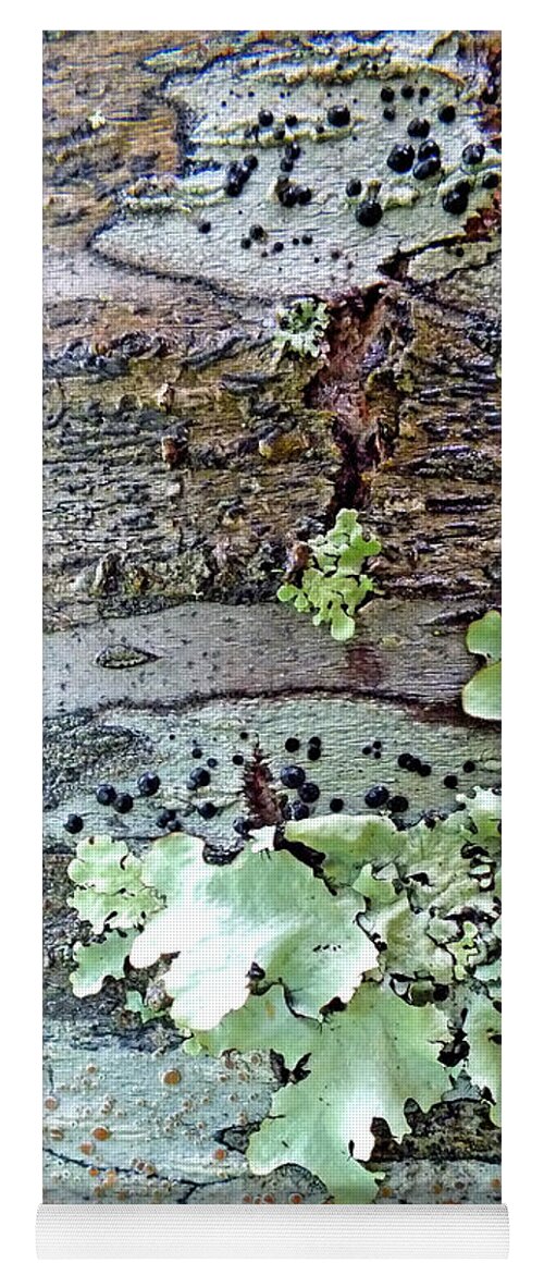 Duane Mccullough Yoga Mat featuring the photograph Tree Bark Abstract 2 by Duane McCullough