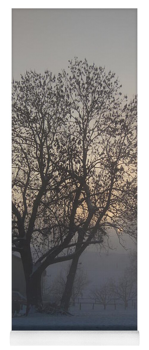 Tree Yoga Mat featuring the photograph Tree in the foggy winter landscape by Amanda Mohler