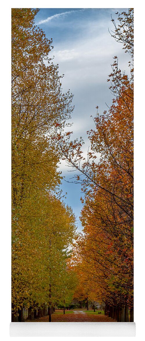 Path Yoga Mat featuring the photograph Tree Lines Path in Fall by Ron Pate