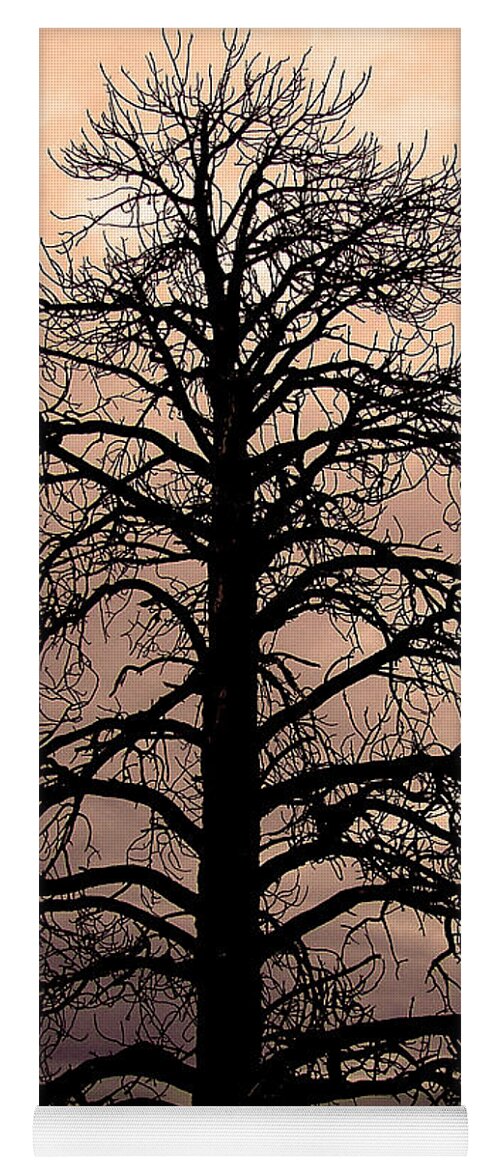 Tree Yoga Mat featuring the photograph Tree Silhouette by Laurel Powell