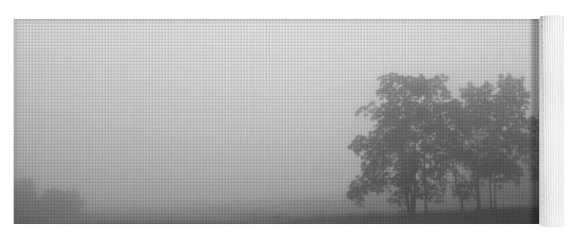 Rhonda Barrett Yoga Mat featuring the photograph Trees in the Mist by Rhonda Barrett
