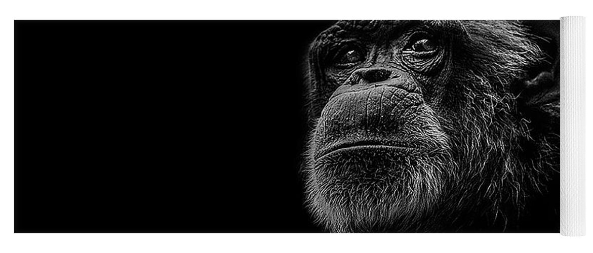 Chimpanzee Ape Portrait Low Key Wildlife Nature Yoga Mat featuring the photograph Trepidation by Paul Neville