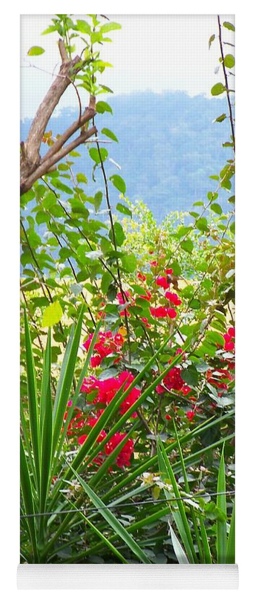 Tropical Colors Yoga Mat featuring the photograph Tropical Bougainvilleas Against Cool Mountain Mists by Pamela Smale Williams