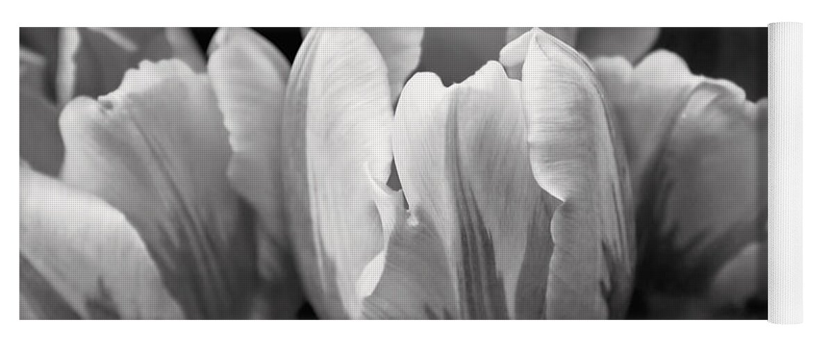 Tulip Yoga Mat featuring the photograph Tulip Flowers Black and White by Jennie Marie Schell