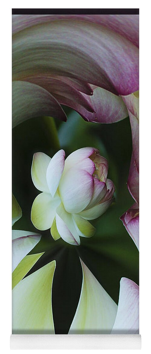 Flower Yoga Mat featuring the photograph Tunnel of Lotus by Jean Noren
