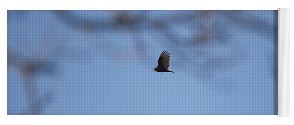 Turkey Vulture Yoga Mat featuring the photograph Turkey Vulture in Flight by Tracy Winter