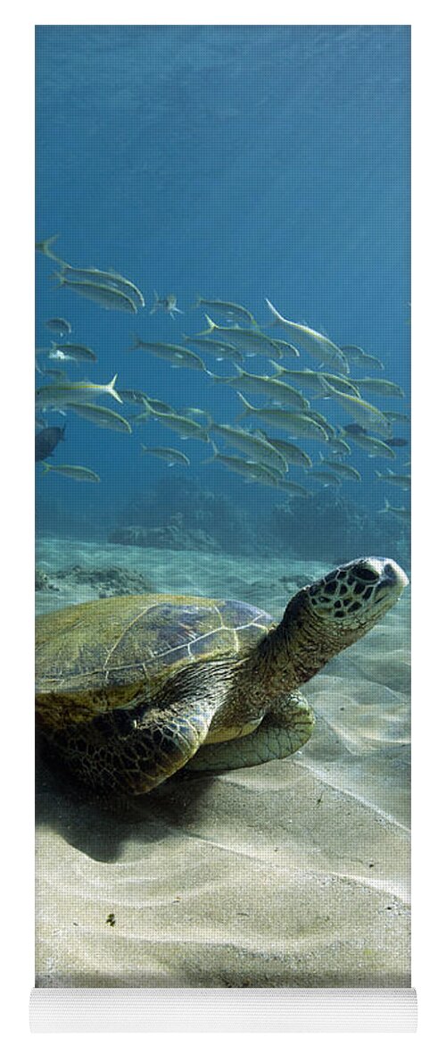 Green Yoga Mat featuring the photograph Turtle Town Maui by David Olsen