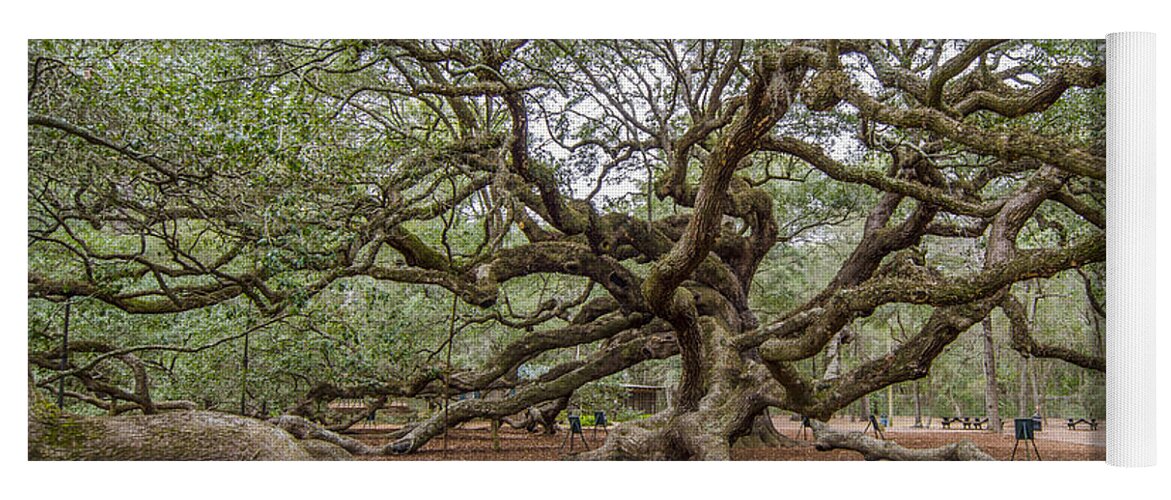 Angel Oak Tree Yoga Mat featuring the photograph Twisted Limbs by Dale Powell