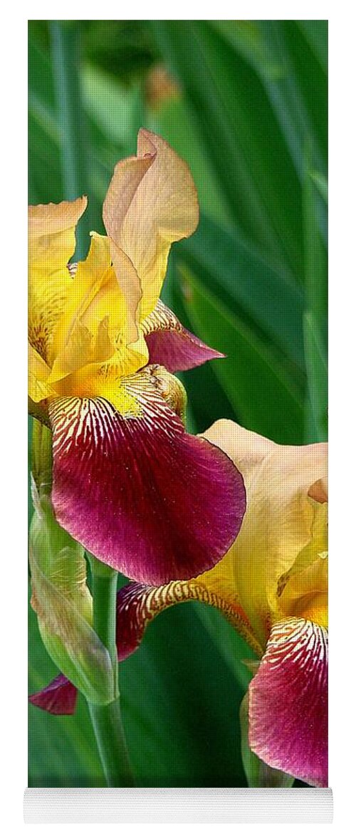 Fine Art Yoga Mat featuring the photograph Two Iris by Rodney Lee Williams