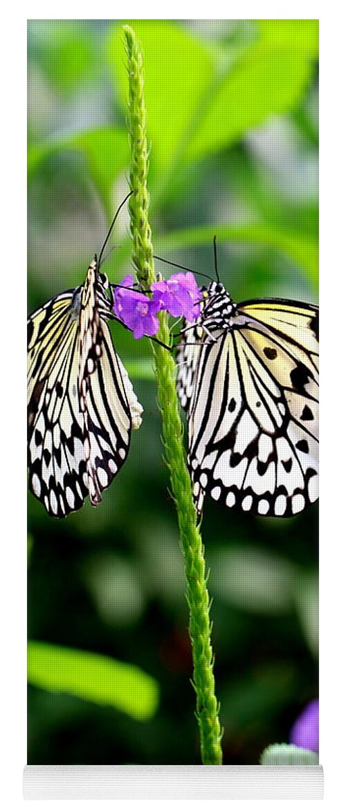 Butterfly Yoga Mat featuring the photograph Two Paper Kite or Rice Paper or Large Tree Nymph butterfly also known as Idea leuconoe by Amanda Mohler
