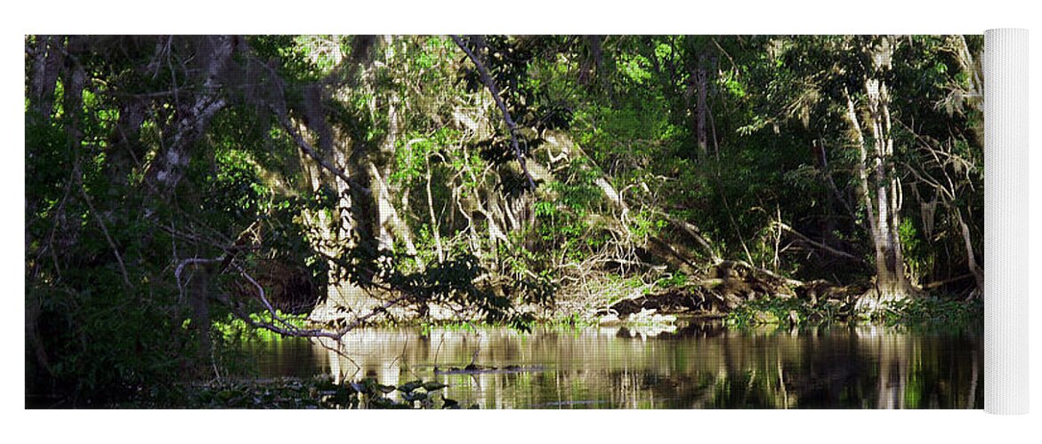 Ocklawaha River Yoga Mat featuring the photograph Up The Lazy River by Bob Johnson
