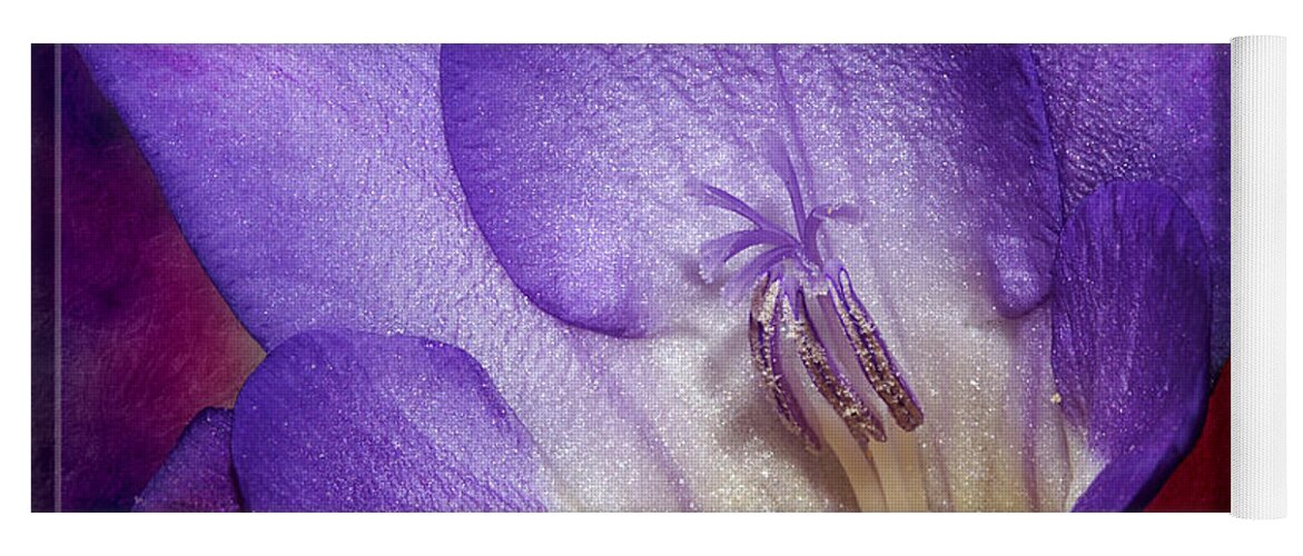 Flower Yoga Mat featuring the photograph Vibrant Purple Flower by Phyllis Denton