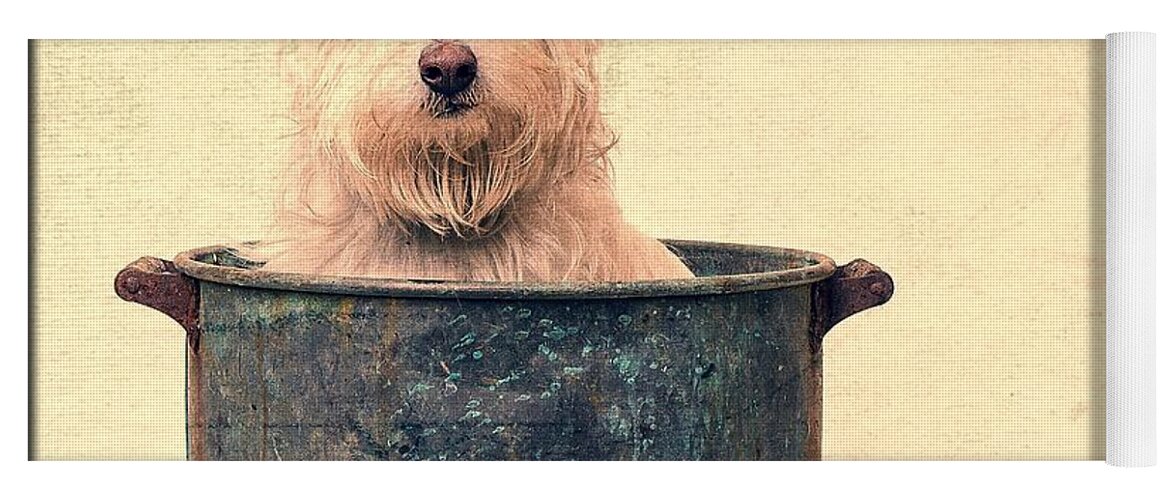 Dog Yoga Mat featuring the photograph Vintage Bathtime by Edward Fielding