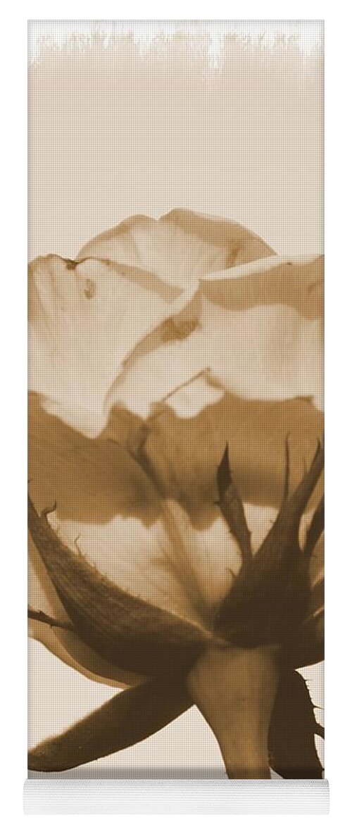 Vintage Rose 2013 Yoga Mat featuring the photograph Vintage Rose 2013 by Maria Urso