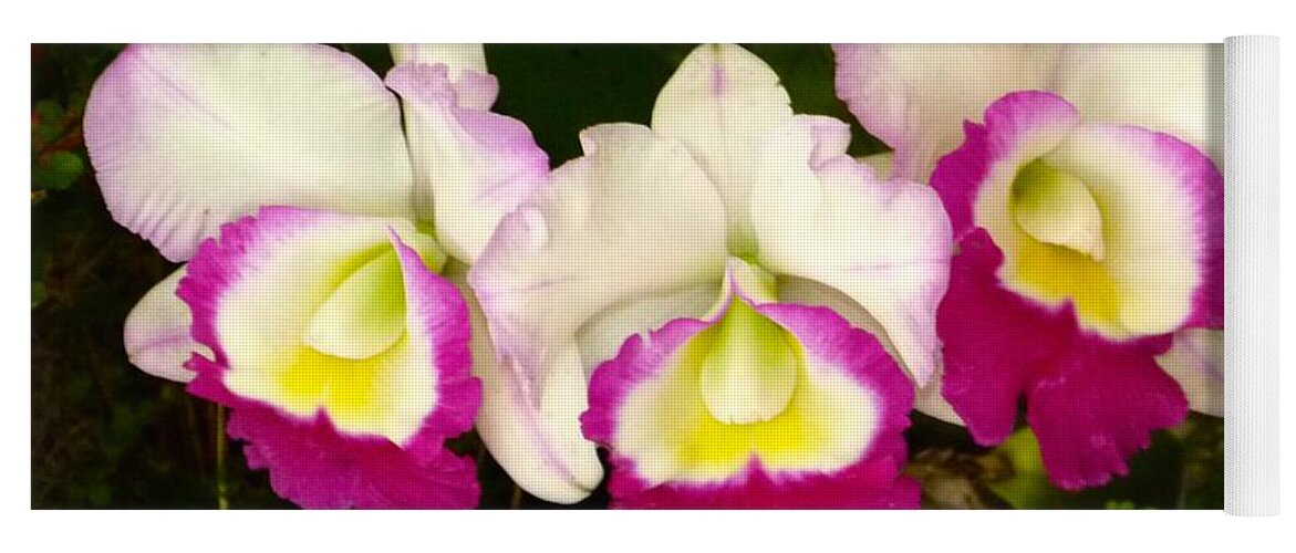 Phalaenopsis Yoga Mat featuring the photograph Cattleya Orchid by Richard Bryce and Family