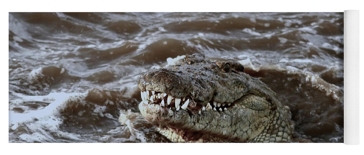 #crocodile Yoga Mat featuring the photograph Voracious Crocodile In Water by Ramabhadran Thirupattur