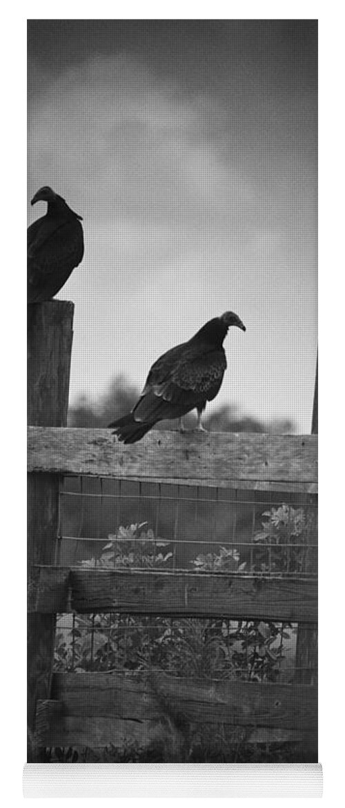 Everglades Yoga Mat featuring the photograph Vultures On Fence by Bradley R Youngberg