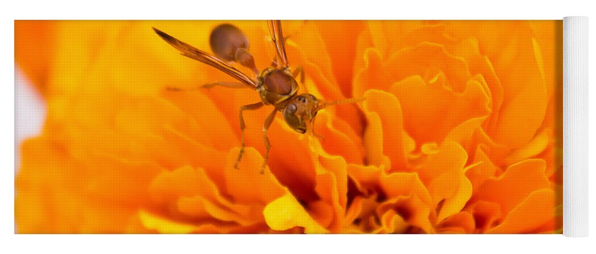 Wasp Yoga Mat featuring the photograph Wasp on flower by SAURAVphoto Online Store