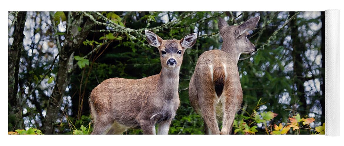 Deer Yoga Mat featuring the photograph Watching out for Mom by Michael Dawson
