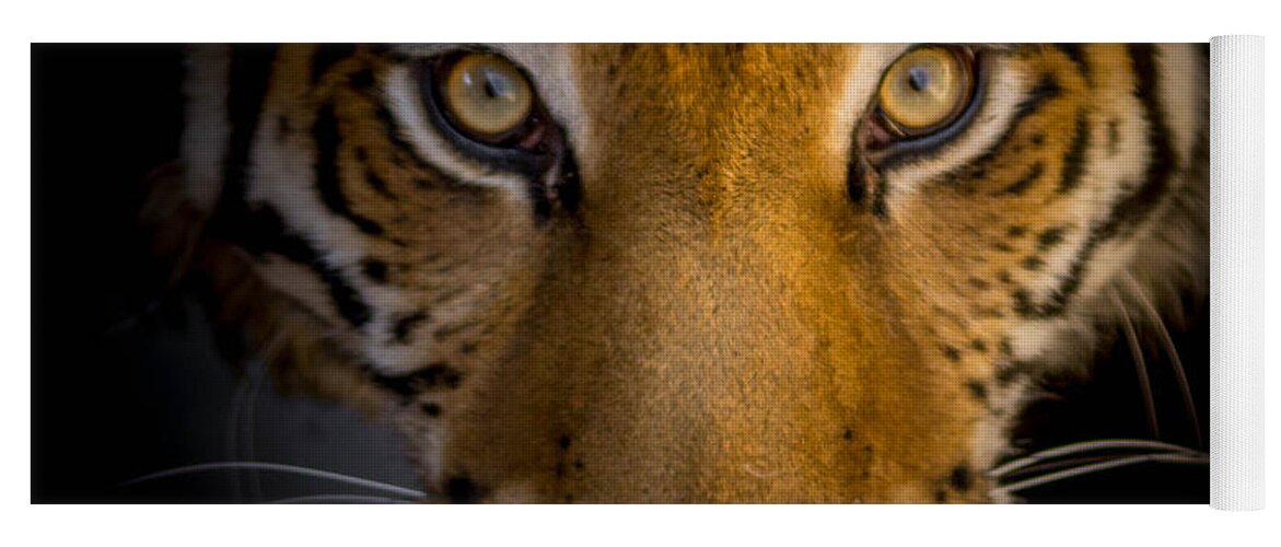 Tiger Yoga Mat featuring the photograph Watching You by Ernest Echols