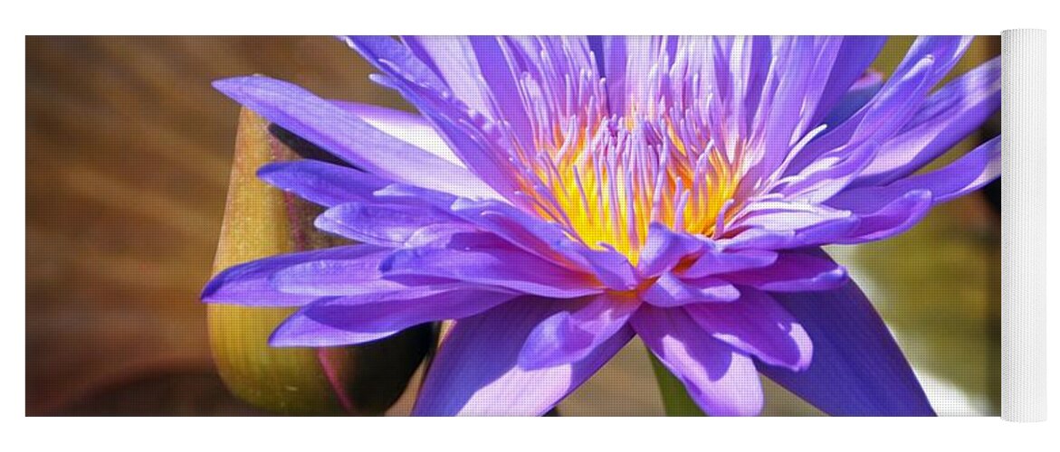 Flower Yoga Mat featuring the photograph Water Flower 1004d by Marty Koch