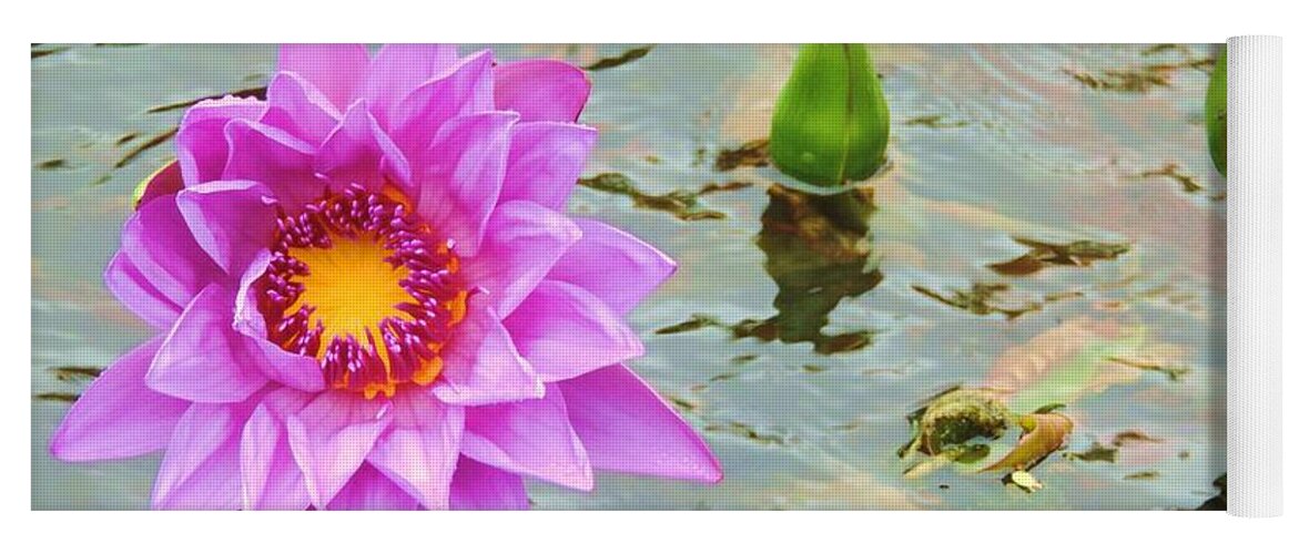 Water Lily Yoga Mat featuring the photograph Water Lilies 001 by Robert ONeil