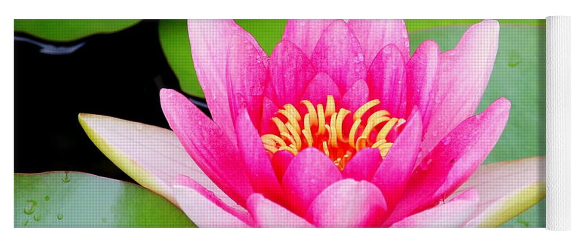 Blossom Yoga Mat featuring the photograph Water lily by Amanda Mohler