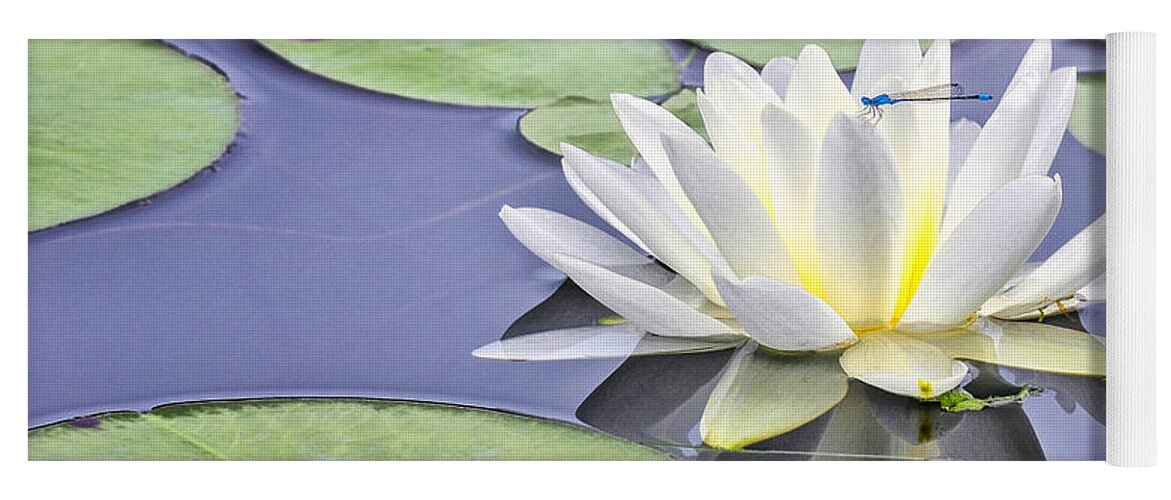 Blue Dragon Fly Yoga Mat featuring the photograph Water Lily and Dragon Fly by Peg Runyan